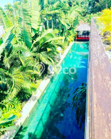 Jual Rumah Luas Elegan Dengan View Eksklusif di Kerobokan, Badung Jual Rumah Luas Elegan Dengan View Eksklusif di Kerobokan, Badung