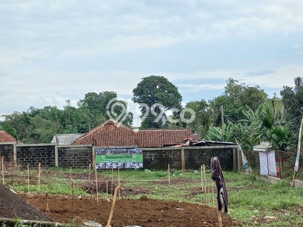 Rumah Minimalis Dijual Lokasi Tamansari 2 Kamar dengan Luas Tanah 60m2 Rumah Minimalis Dijual Lokasi Tamansari 2 Kamar dengan Luas Tanah 60m2