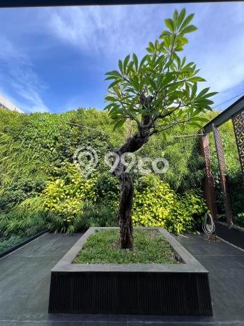 For Sale! Luxury House LT 600m2 Desain Modern di Pantai Indah Kapuk For Sale! Luxury House LT 600m2 Desain Modern di Pantai Indah Kapuk