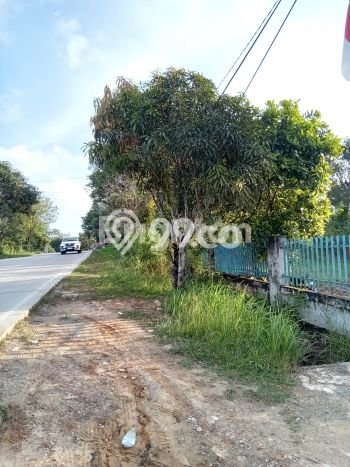Untuk Dijual Tanah 54000m2 di Kariangau, Balikpapan Untuk Dijual Tanah 54000m2 di Kariangau, Balikpapan