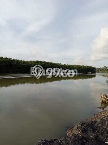 Untuk Dijual Tanah 54000m2 di Kariangau, Balikpapan Untuk Dijual Tanah 54000m2 di Kariangau, Balikpapan