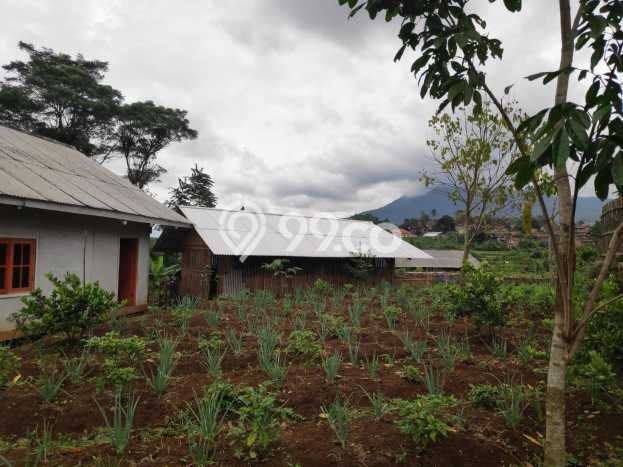 Lahan Strategis di Sukasari Dijual dengan Luas 1403m2 Lahan Strategis di Sukasari Dijual dengan Luas 1403m2