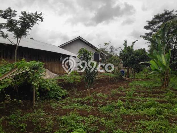 Lahan Strategis di Sukasari Dijual dengan Luas 1403m2 Lahan Strategis di Sukasari Dijual dengan Luas 1403m2