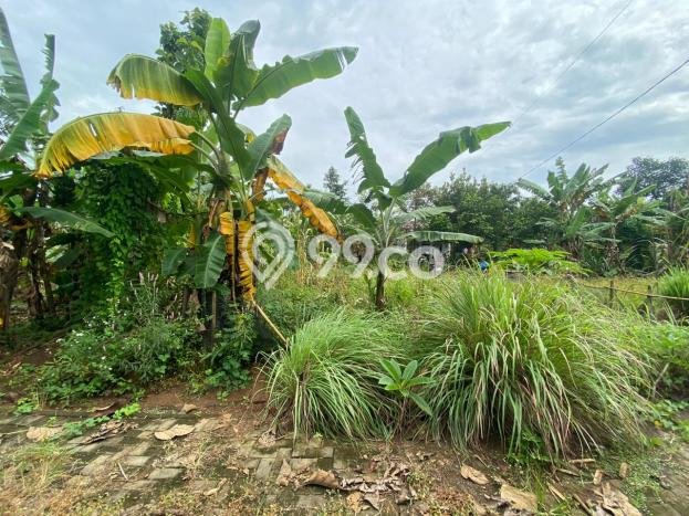 Lahan Investasi Lokasi Ngaliyan Semarang SHM Lahan Investasi Lokasi Ngaliyan Semarang SHM