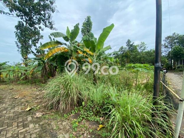 Lahan Investasi Lokasi Ngaliyan Semarang SHM Lahan Investasi Lokasi Ngaliyan Semarang SHM