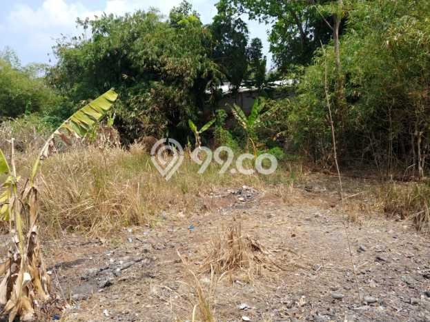 Tanah Dijual Lokasi Mijen, Semarang Luas 12000m2 Legalitas Aman Tanah Dijual Lokasi Mijen, Semarang Luas 12000m2 Legalitas Aman