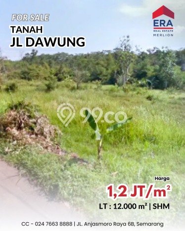 Tanah Dijual Lokasi Mijen, Semarang Luas 12000m2 Legalitas Aman Tanah Dijual Lokasi Mijen, Semarang Luas 12000m2 Legalitas Aman
