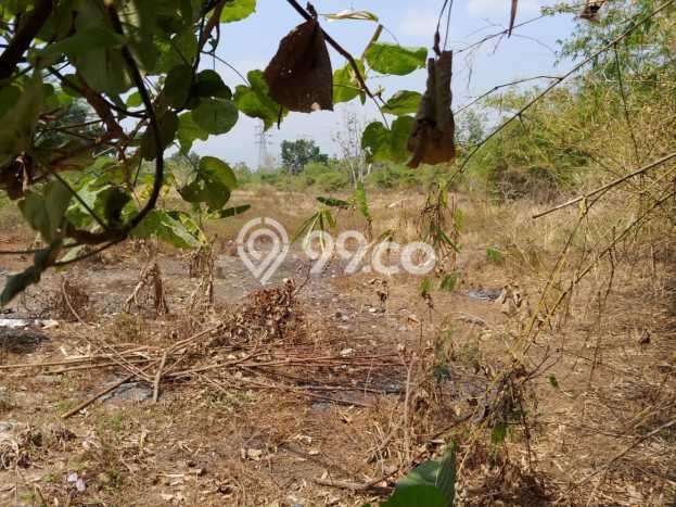 Tanah Dijual Lokasi Mijen, Semarang Luas 12000m2 Legalitas Aman Tanah Dijual Lokasi Mijen, Semarang Luas 12000m2 Legalitas Aman