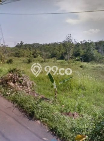 Tanah Dijual Lokasi Mijen, Semarang Luas 12000m2 Legalitas Aman Tanah Dijual Lokasi Mijen, Semarang Luas 12000m2 Legalitas Aman