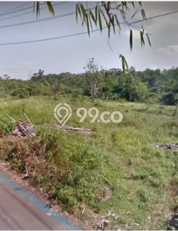 Tanah Dijual Lokasi Mijen, Semarang Luas 12000m2 Legalitas Aman Tanah Dijual Lokasi Mijen, Semarang Luas 12000m2 Legalitas Aman