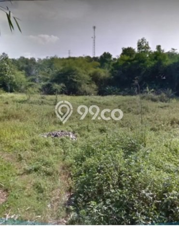 Tanah Dijual Lokasi Mijen, Semarang Luas 12000m2 Legalitas Aman Tanah Dijual Lokasi Mijen, Semarang Luas 12000m2 Legalitas Aman