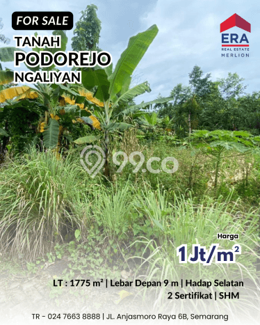 Lahan Investasi Lokasi Ngaliyan Semarang SHM Lahan Investasi Lokasi Ngaliyan Semarang SHM