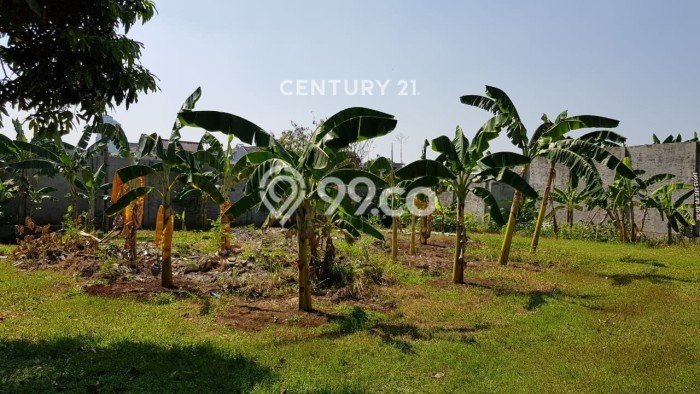 Tanah Dijual Area Strategis di Sektor 5 - Bintaro Tangerang Selatan 3300m2 Tanah Dijual Area Strategis di Sektor 5 - Bintaro Tangerang Selatan 3300m2