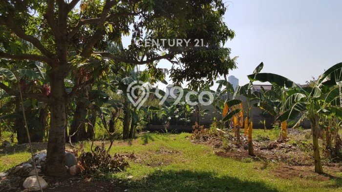 Tanah Dijual Area Strategis di Sektor 5 - Bintaro Tangerang Selatan 3300m2 Tanah Dijual Area Strategis di Sektor 5 - Bintaro Tangerang Selatan 3300m2