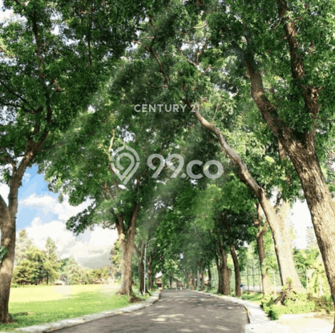 Dijual Hunian Rumah Terawat 3 KT di Bintaro, Tangerang Selatan Dijual Hunian Rumah Terawat 3 KT di Bintaro, Tangerang Selatan