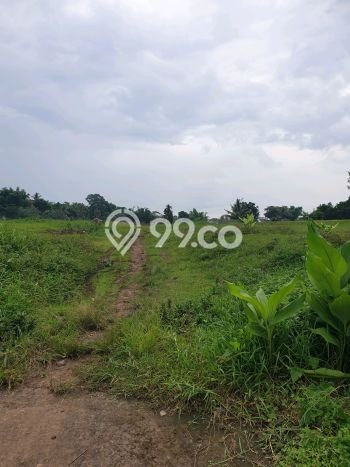 Lahan untuk Dijual Lokasi Lowokwaru, Malang Luas 5221m2 SHM Lahan untuk Dijual Lokasi Lowokwaru, Malang Luas 5221m2 SHM