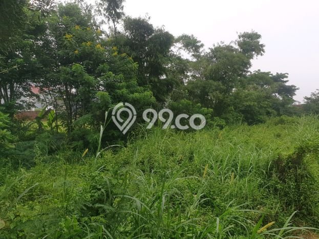 Untuk Dijual Tanah di Malang, Luas 6100m2 SHM Untuk Dijual Tanah di Malang, Luas 6100m2 SHM