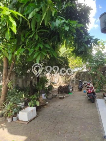 Rumah Elit Modern Siap Huni di Gatot Subroto Denpasar Rumah Elit Modern Siap Huni di Gatot Subroto Denpasar