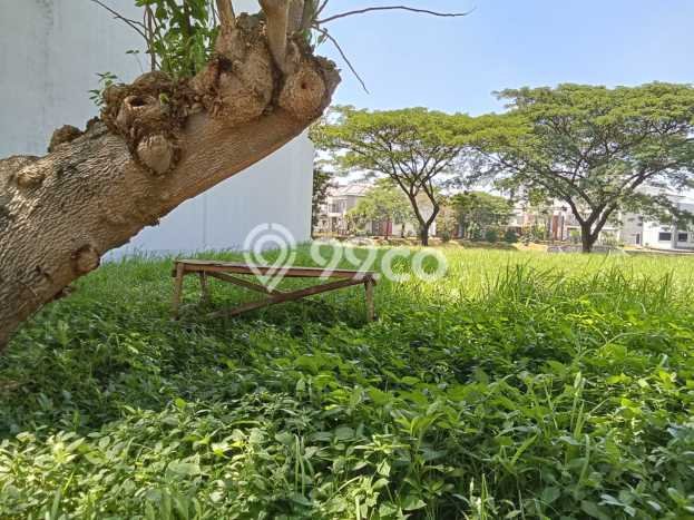 Tanah Kavling Dijual di Pantai Indah Kapuk, Jakarta Utara dengan Luas Tanah 250m2 Tanah Kavling Dijual di Pantai Indah Kapuk, Jakarta Utara dengan Luas Tanah 250m2