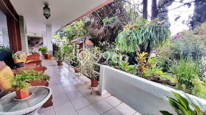Siap Huni Rumah Mewah 3 Kamar di Coblong Dekat ke Mana Saja Siap Huni Rumah Mewah 3 Kamar di Coblong Dekat ke Mana Saja