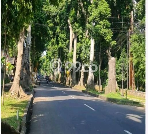 Kavling Tanah Dijual di Bogor Tengah, Bogor, Luas 1410m2 Area Strategis Kavling Tanah Dijual di Bogor Tengah, Bogor, Luas 1410m2 Area Strategis