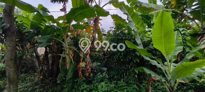 Tanah Dijual Area Strategis di Ujungberung Bandung 2770m2 Tanah Dijual Area Strategis di Ujungberung Bandung 2770m2