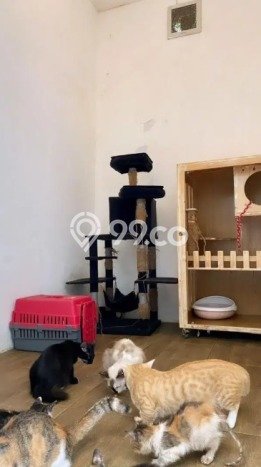 Rumah Modern Cantik 3 KT Bisa Langsung Pindah di Ciputat Rumah Modern Cantik 3 KT Bisa Langsung Pindah di Ciputat