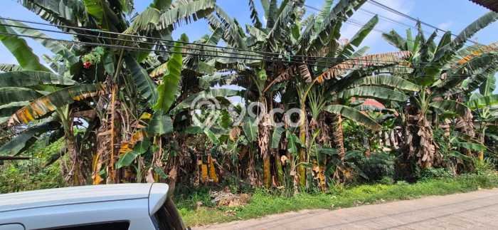 Dijual Tanah di Bogor Barat Bogor Luas 1155m2 SHM Dijual Tanah di Bogor Barat Bogor Luas 1155m2 SHM