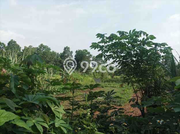 Kavling Tanah Dijual di Jambe Tangerang Spesifikasi 11000m2 Kavling Tanah Dijual di Jambe Tangerang Spesifikasi 11000m2