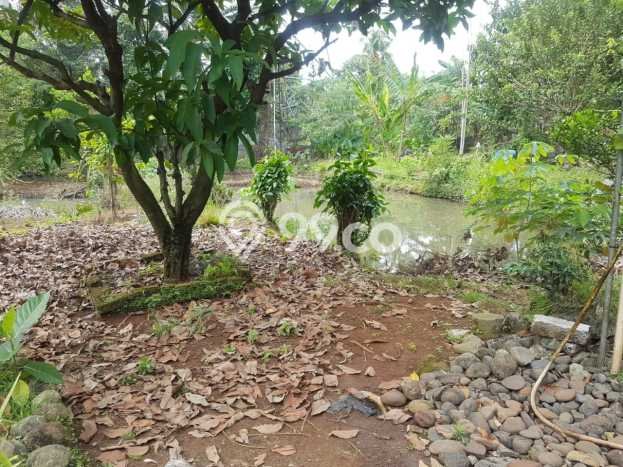 Tanah di Setu, Tangerang Selatan Luas 2120m2 Dijual Segera Tanah di Setu, Tangerang Selatan Luas 2120m2 Dijual Segera