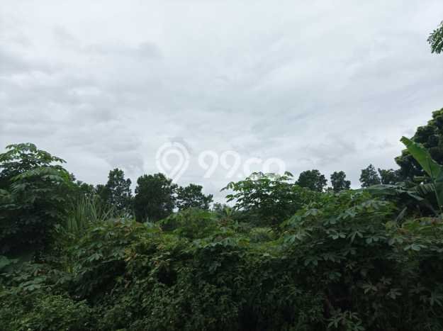 Kavling Tanah Dijual di Jambe Tangerang Spesifikasi 11000m2 Kavling Tanah Dijual di Jambe Tangerang Spesifikasi 11000m2