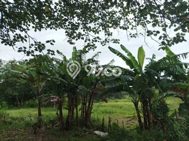 Kavling Tanah Dijual di Jambe Tangerang Spesifikasi 11000m2 Kavling Tanah Dijual di Jambe Tangerang Spesifikasi 11000m2