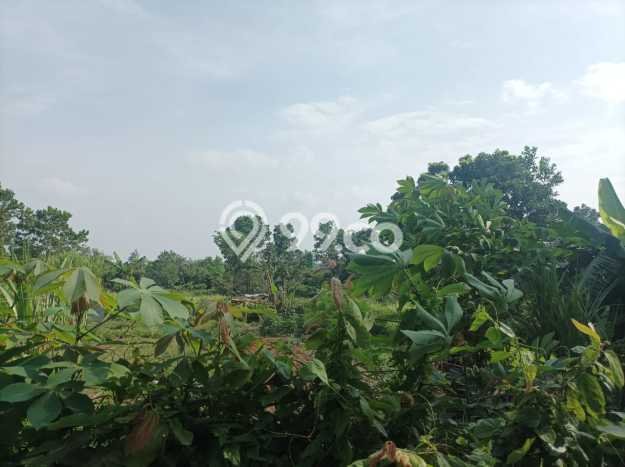 Kavling Tanah Dijual di Jambe Tangerang Spesifikasi 11000m2 Kavling Tanah Dijual di Jambe Tangerang Spesifikasi 11000m2