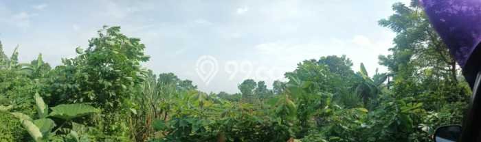 Kavling Tanah Dijual di Jambe Tangerang Spesifikasi 11000m2 Kavling Tanah Dijual di Jambe Tangerang Spesifikasi 11000m2
