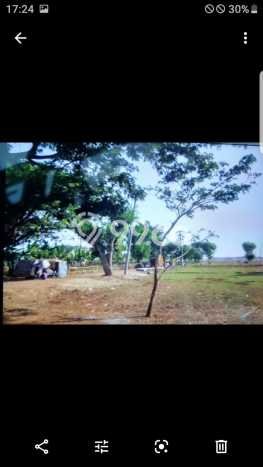 Kavling Tanah di Subang Dijual Luas 50000m2 Legalitas AJB Kavling Tanah di Subang Dijual Luas 50000m2 Legalitas AJB