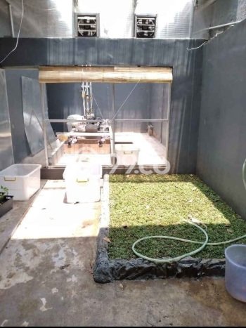 Rumah Luas Asri 3 KT Siap Huni di Genteng Bogor Rumah Luas Asri 3 KT Siap Huni di Genteng Bogor