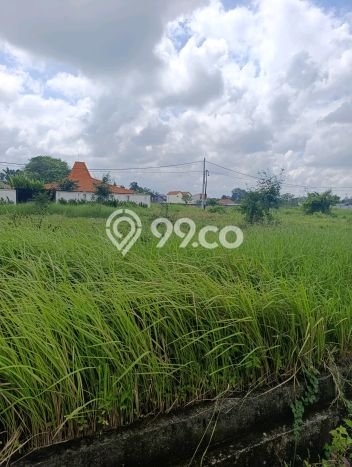 Tanah di Cemagi, Luas 4000m², Lokasi Strategis Tanah di Cemagi, Luas 4000m², Lokasi Strategis