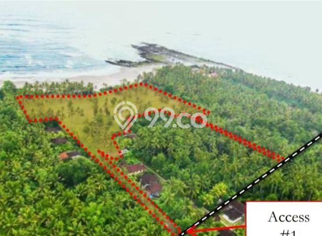 Lahan untuk Dijual Lokasi Tabanan, Tabanan Luas 35000m2 SHM Lahan untuk Dijual Lokasi Tabanan, Tabanan Luas 35000m2 SHM