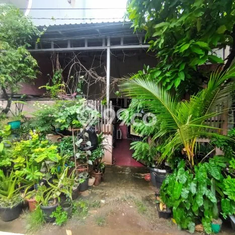Hunian Cantik Modern Lb 50m2 di Kelapa Gading, Jakarta Utara Hunian Cantik Modern Lb 50m2 di Kelapa Gading, Jakarta Utara