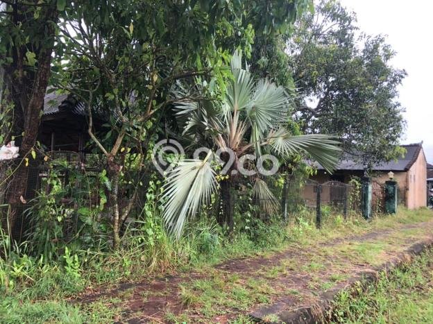 Tanah Kawasan Dalung, Luas 980m2m², Dekat Jalan Raya Tanah Kawasan Dalung, Luas 980m2m², Dekat Jalan Raya