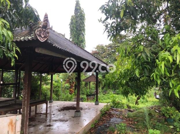 Tanah Kawasan Dalung, Luas 980m2m², Dekat Jalan Raya Tanah Kawasan Dalung, Luas 980m2m², Dekat Jalan Raya