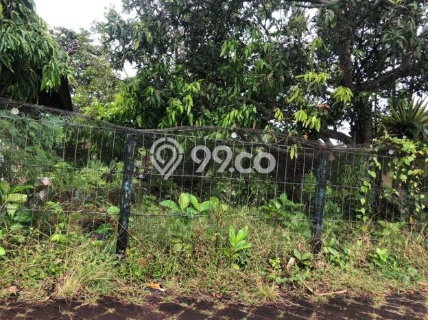 Tanah Kawasan Dalung, Luas 980m2m², Dekat Jalan Raya Tanah Kawasan Dalung, Luas 980m2m², Dekat Jalan Raya