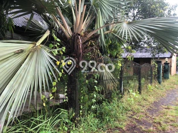 Tanah Kawasan Dalung, Luas 980m2m², Dekat Jalan Raya Tanah Kawasan Dalung, Luas 980m2m², Dekat Jalan Raya