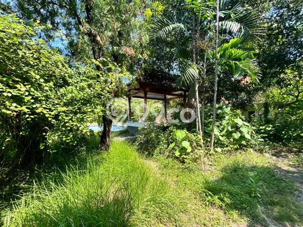 Untuk Disewa Tanah di Kuta Luas 4000m2 SHM Untuk Disewa Tanah di Kuta Luas 4000m2 SHM