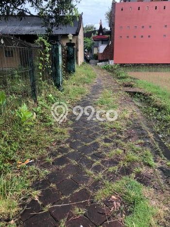 Tanah Kawasan Dalung, Luas 980m2m², Dekat Jalan Raya Tanah Kawasan Dalung, Luas 980m2m², Dekat Jalan Raya