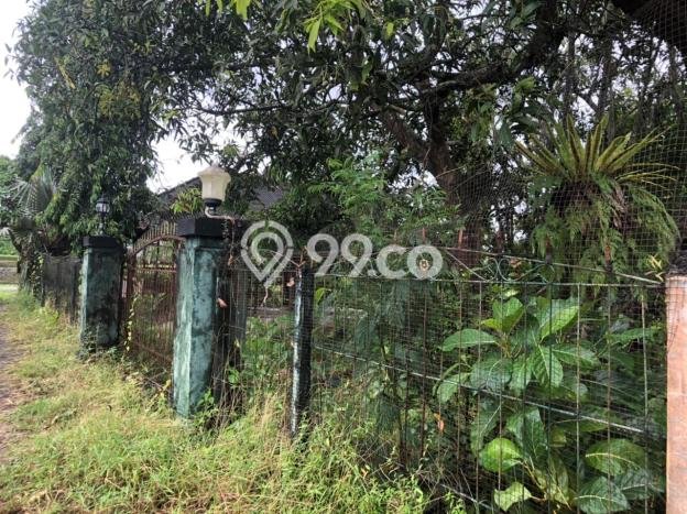 Tanah Kawasan Dalung, Luas 980m2m², Dekat Jalan Raya Tanah Kawasan Dalung, Luas 980m2m², Dekat Jalan Raya