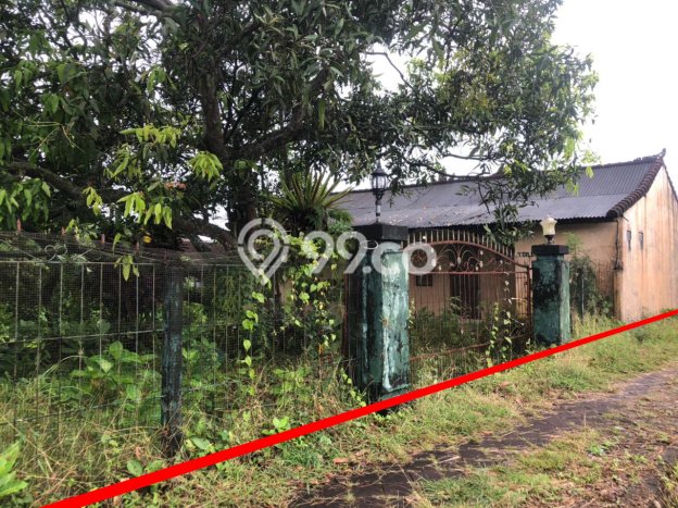 Tanah Kawasan Dalung, Luas 980m2m², Dekat Jalan Raya Tanah Kawasan Dalung, Luas 980m2m², Dekat Jalan Raya