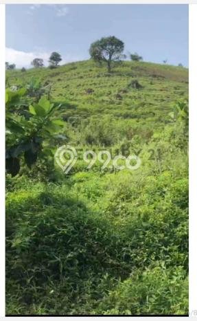 Lahan Kosong Dijual di Bogor dengan Area 992800m2 Lahan Kosong Dijual di Bogor dengan Area 992800m2