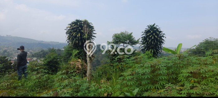 Untuk Dijual Tanah di Bogor, Luas 3300m2 SHM Untuk Dijual Tanah di Bogor, Luas 3300m2 SHM