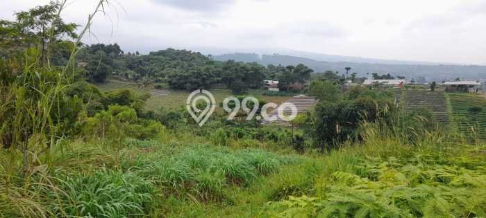 Dijual Tanah Lokasi Cipayung, Bogor Seluas 20000m2 Dijual Tanah Lokasi Cipayung, Bogor Seluas 20000m2